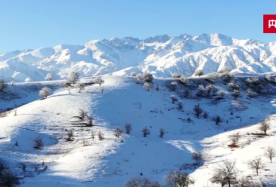 ​英语日记100字5篇