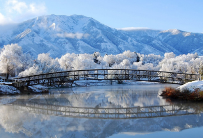 ​卖炭翁译文及注释（卖炭翁伐薪烧炭南山中赏析）