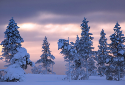 ​临江仙徐昌图赏析（徐昌图临江仙全文译文赏析）