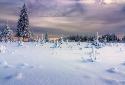 ​陶侃惜谷原文是什么（陶侃惜谷原文译文赏析）