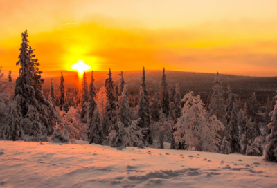 ​卜算子我住长江头赏析（卜算子我住长江头注释和译文）
