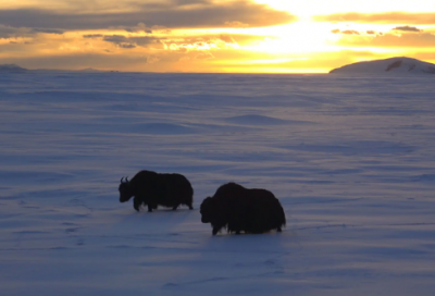 ​沉醉在写作的世界里作文