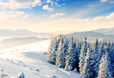 ​初中生老狼请客的续写作文800字