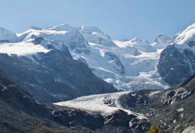 ​神奇的种子作文范文