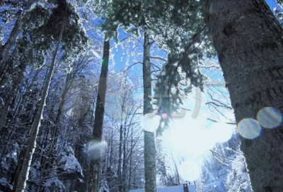 ​马诗二十三首其五赏析（马诗二十三首其五译文注释）