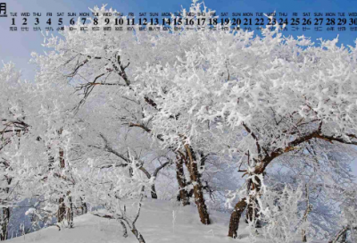 ​赵氏孤儿观后感作文