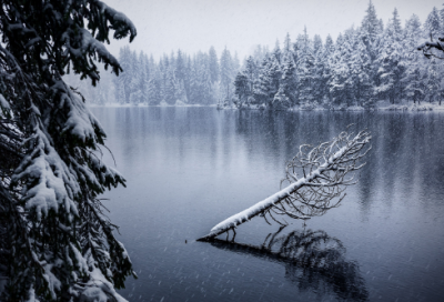 ​黄庭经原文和译文（王羲之黄庭经全文译文）