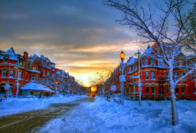 ​东非动物大迁徙作文600字