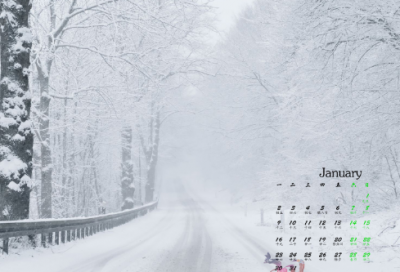 ​挫折也美丽初一励志作文