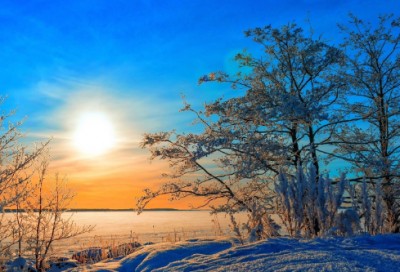 ​我的中国梦小学生作文300字