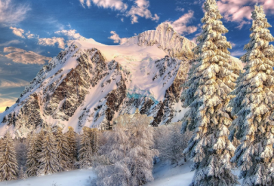 ​春天的魅力小学600字作文