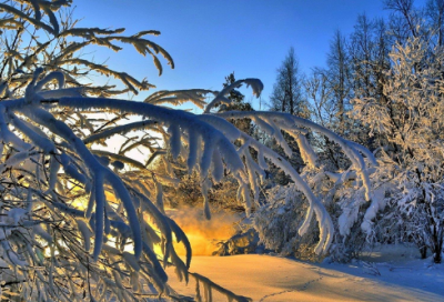 ​从军行译文及注释（从军行王昌龄诗意解释）