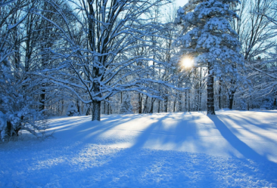 ​《天黑以后》读后感优秀作文