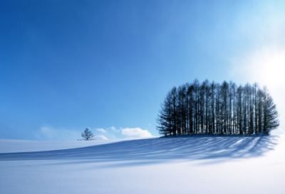 ​鸡妈妈和小鸡们童话故事作文