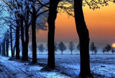 ​望梅止渴是什么意思（望梅止渴的原文和译文）