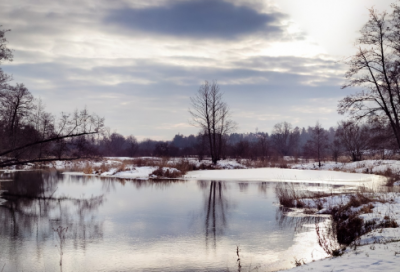 ​吃大便事件五年级作文