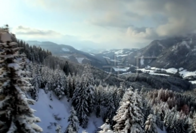 ​可爱的小狗小学二年级400字作文