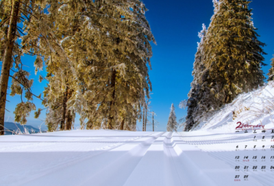 ​看9.3阅兵观后感记作文