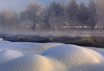 ​小学四年级作文童话故事5篇