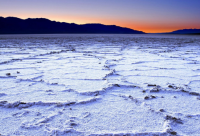 ​体验生活小学生作文