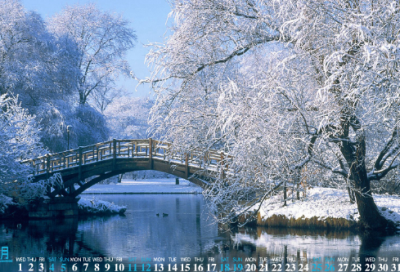 ​初夏绝句的译文（初夏绝句陆游赏析）