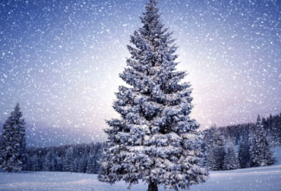 ​题大庾岭北驿译文及赏析（题大庾岭北驿译文作品注释）