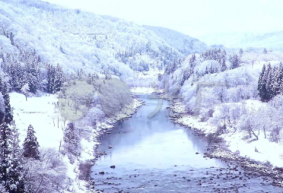 ​王右军诈睡文言文译文（王右军诈睡文言文译文注释）