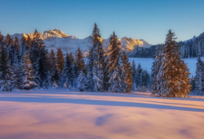 ​诫子书诸葛亮（诫子书译文和赏析）