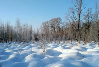 ​采桑子欧阳修原文及译文（欧阳修采桑子诗歌赏析）