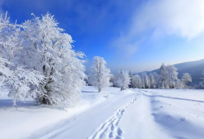 ​大学章句原文和译文（大学章句集注原文和译文）