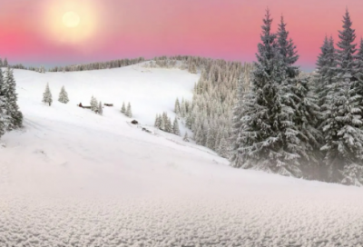 ​秋雨中赠元九白居易（秋雨中赠元九白居易译文）