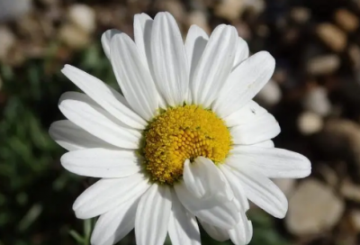 ​儿童谜语大全有趣的3009个