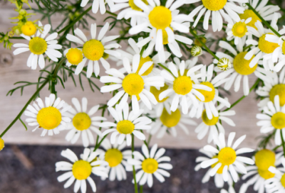 ​少儿谜语搞笑的3008个