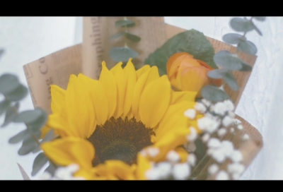 ​儿童谜语大全7一9岁大全锦集3007个