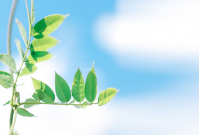 ​儿童谜语大全最新3003个