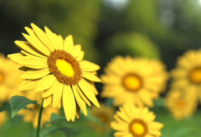 ​儿童谜语大全7一9岁沙雕的3004个