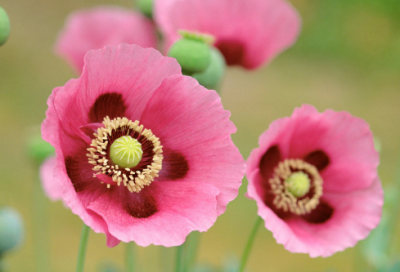 ​谜语大全儿童10岁经典的3014个