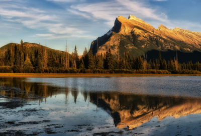 ​小学生谜语沙雕3005个