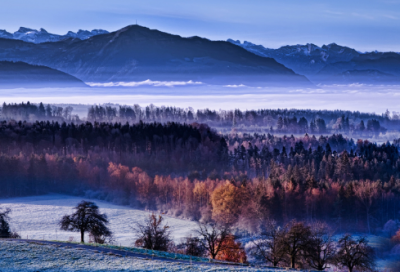 ​搞笑谜语有趣3007个