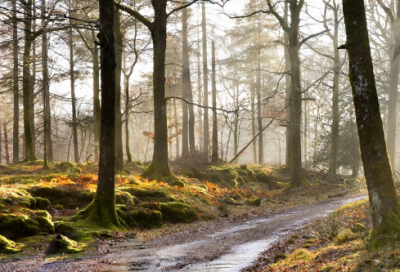 ​儿童谜语大全8一10岁最难3006个