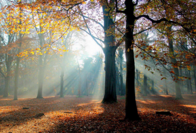 ​谜语大全及答案大全合集3000个