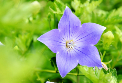 ​谜语大全儿童3到6岁全集2057个