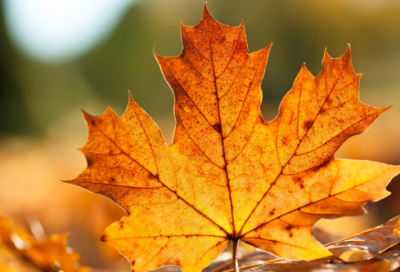 ​谜语大全简单的2047个