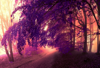 ​儿童谜语大全2060个