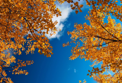 ​儿童谜语大全3到6岁经典2052个