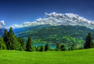 ​谜语含答案2054个