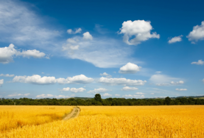 ​谜语最新的2056个