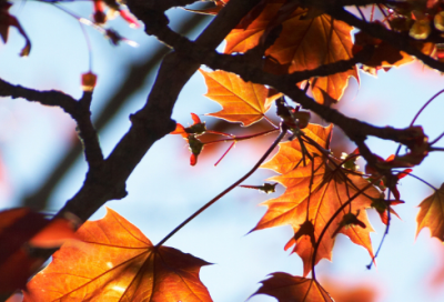 ​谜语大全最新2058个