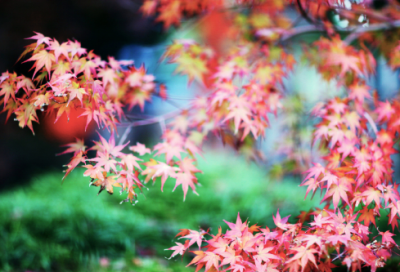 ​儿童谜语锦集2050个