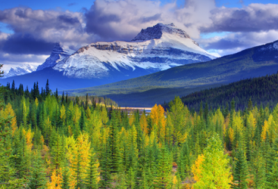 ​儿童谜语大全3到6岁有趣的2050个